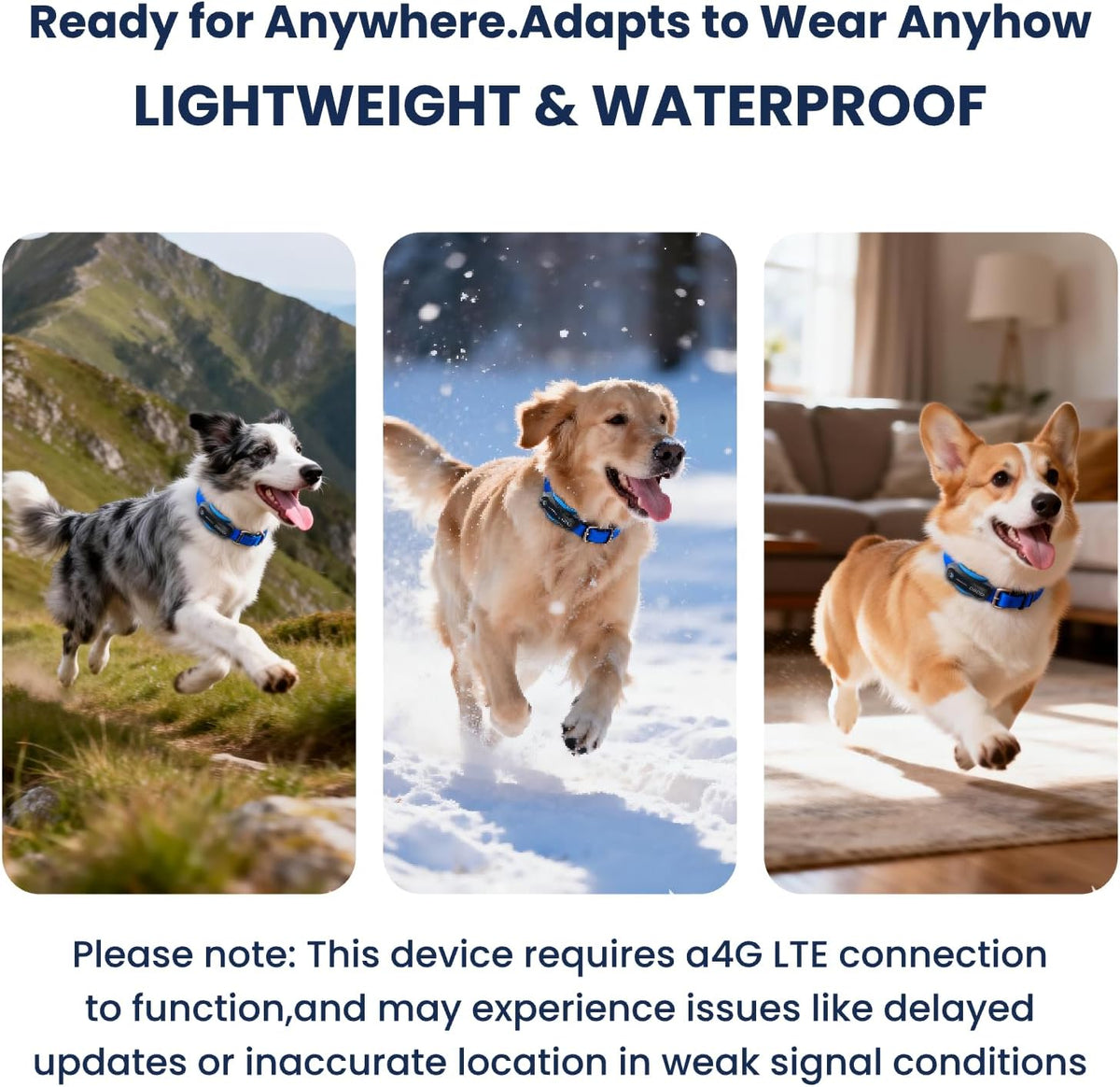 DBDD GPS Dog Tracker with Subscription,Virtual Fence&Health Monitor,IP67,BK
