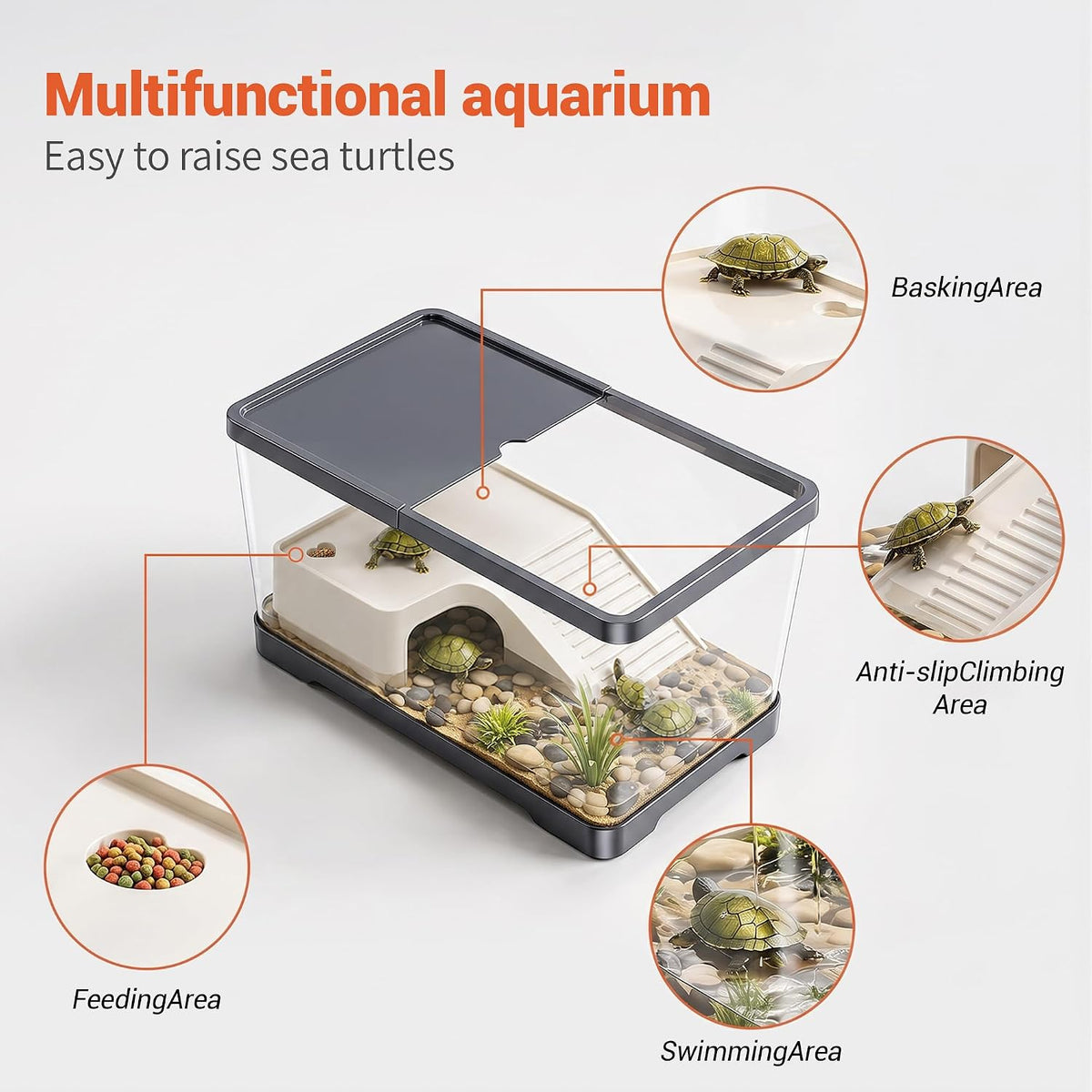 12‑in Turtle Tank, Dry‑Wet Separation with Basking Platform