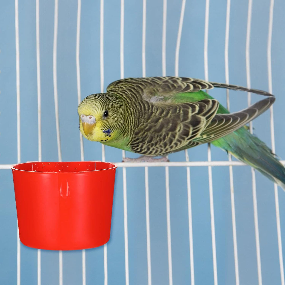 Suclain 30 Pcs Seed Cups for Bird Cages, Hanging Plastic Cage Feeders