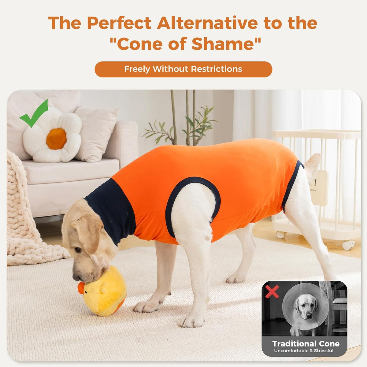 Avont Dog Recovery Suit After Surgery Bundle with Inflatable Dog Cone Collar with Transparent Shield