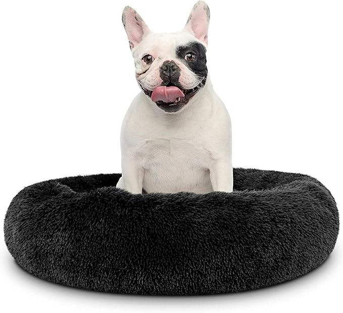 Cat Beds for Indoor Cats by Unknown