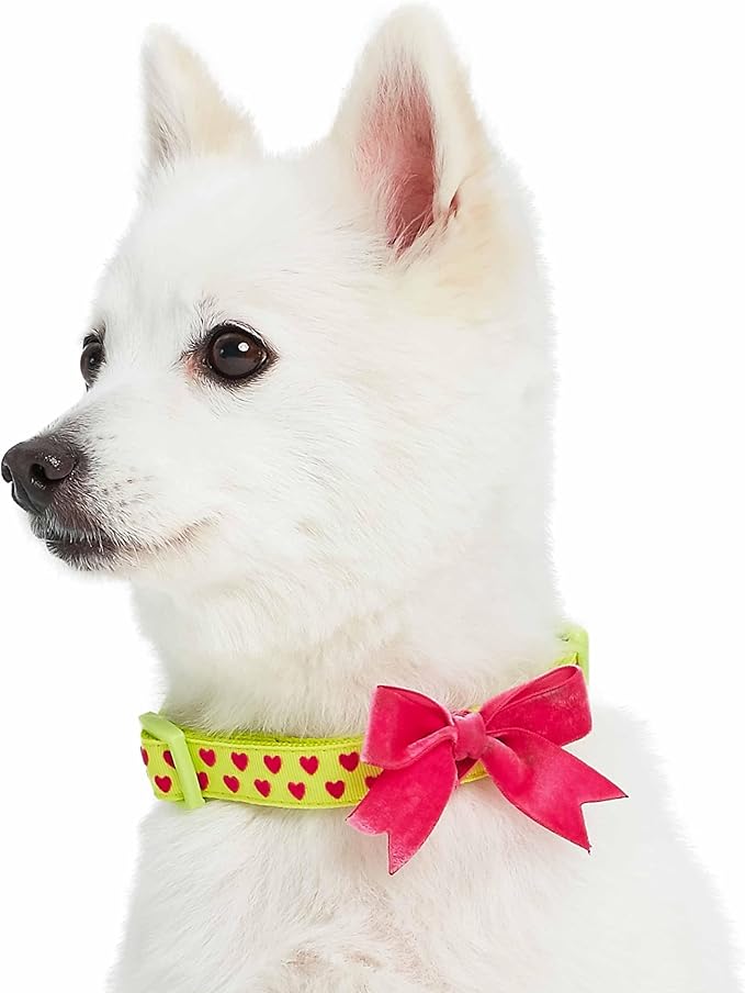 Blueberry Pet Adjustable Flocking Dog Collar - Image 9