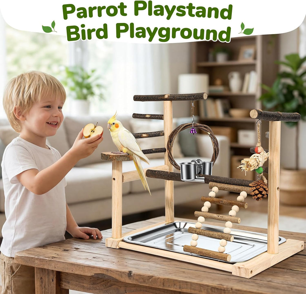 Bird Playground Wooden Parrot Stand for Small to Medium Birds