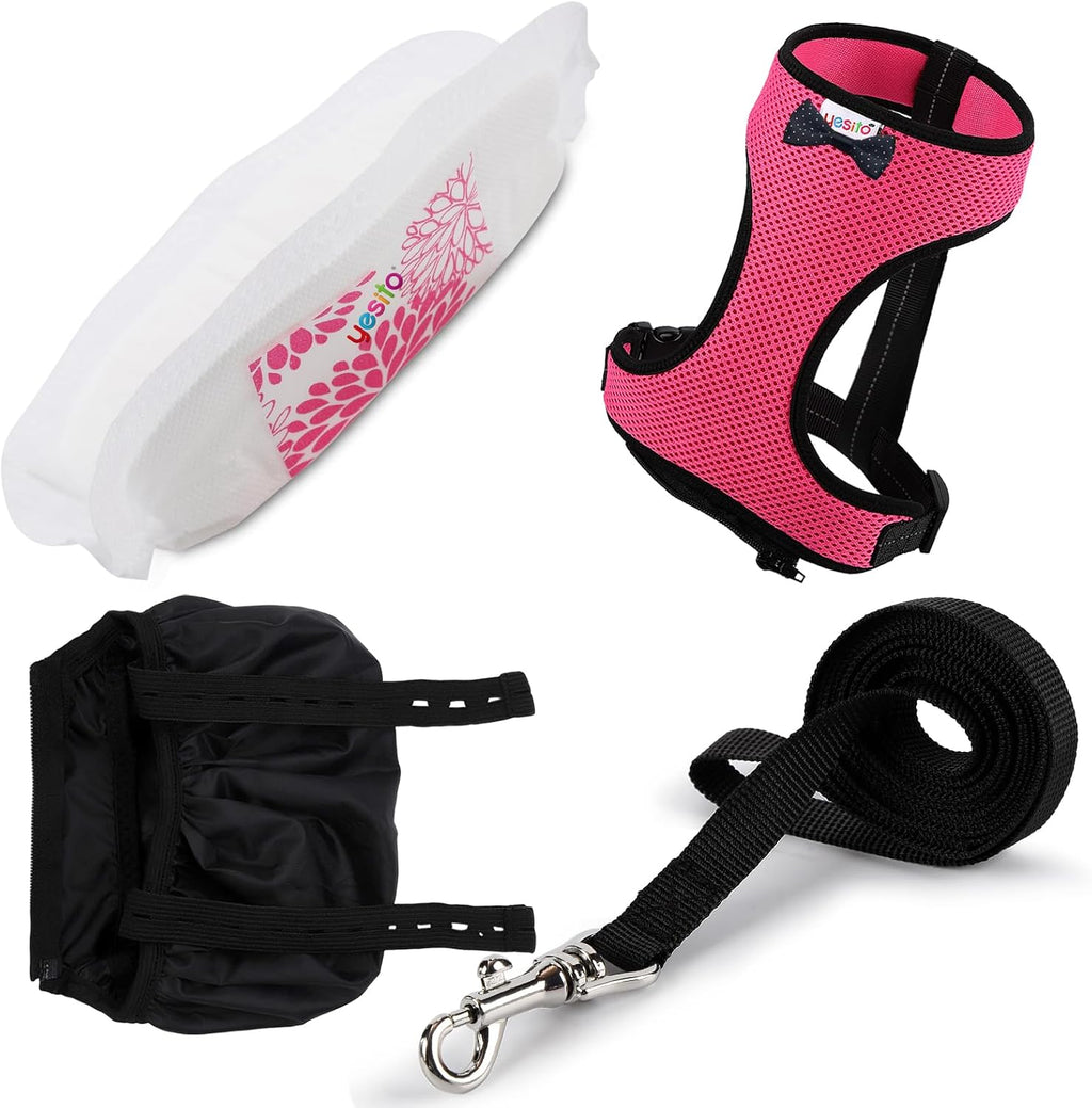 Adjustable Chicken Harness Diaper with 5.4ft Leash - Pink
