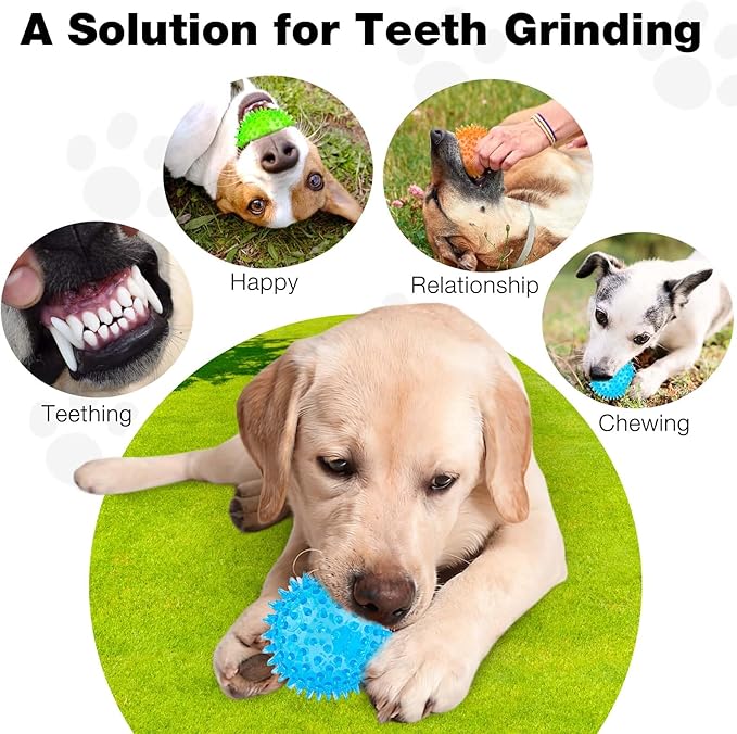 Puppy Toy 2.5” Squeaky Dog Balls Toys and Spikey Dog Ball - Image 5