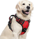 rabbitgoo Dog Harness for Large, No Pull 3 Buckles Easy On & Off