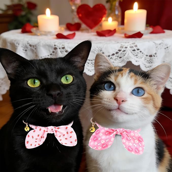 KOOLTAIL Girl Cat Collar Breakaway - Image 7