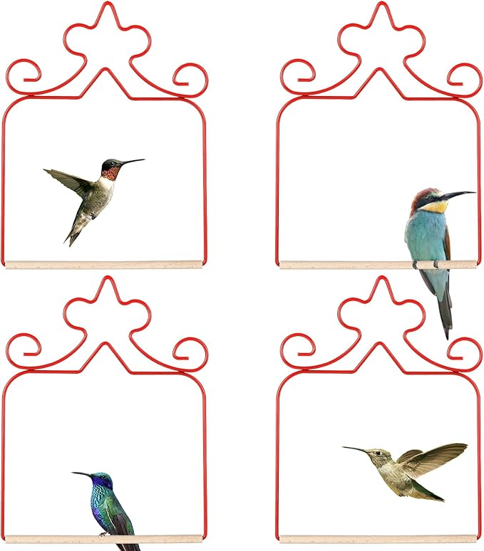 Hummingbird Swings 4 Pack, Rust Resistant Metal Frame by EYROSA