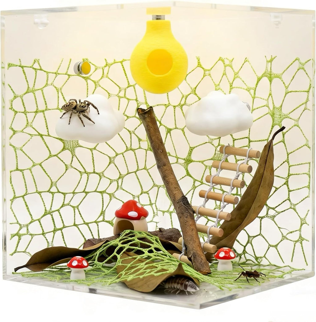 Jumping Spider Habitat Decor Kit with Platforms, Hideouts & Accessories