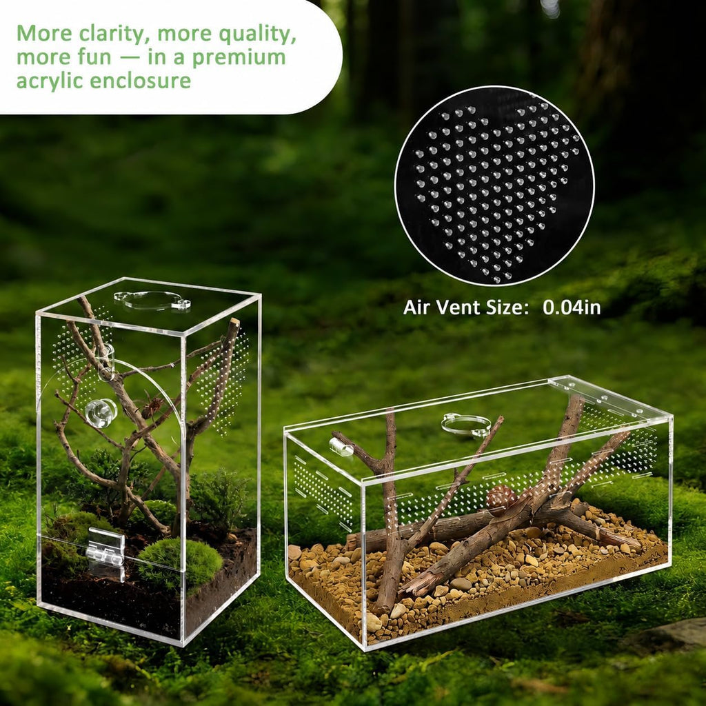 Acrylic Spider Enclosure 2 Pack, Terrarium for Jumping Spider（L）