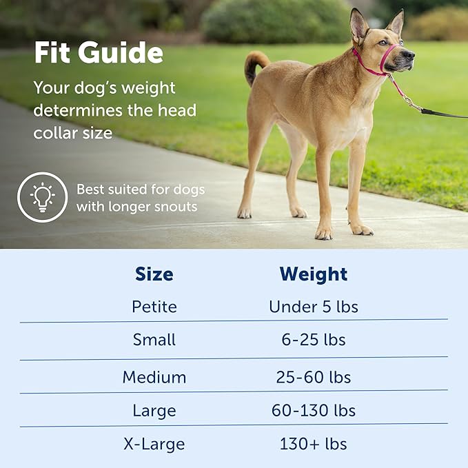 PetSafe Gentle Leader Headcollar No-Pull Dog Collar - Image 5