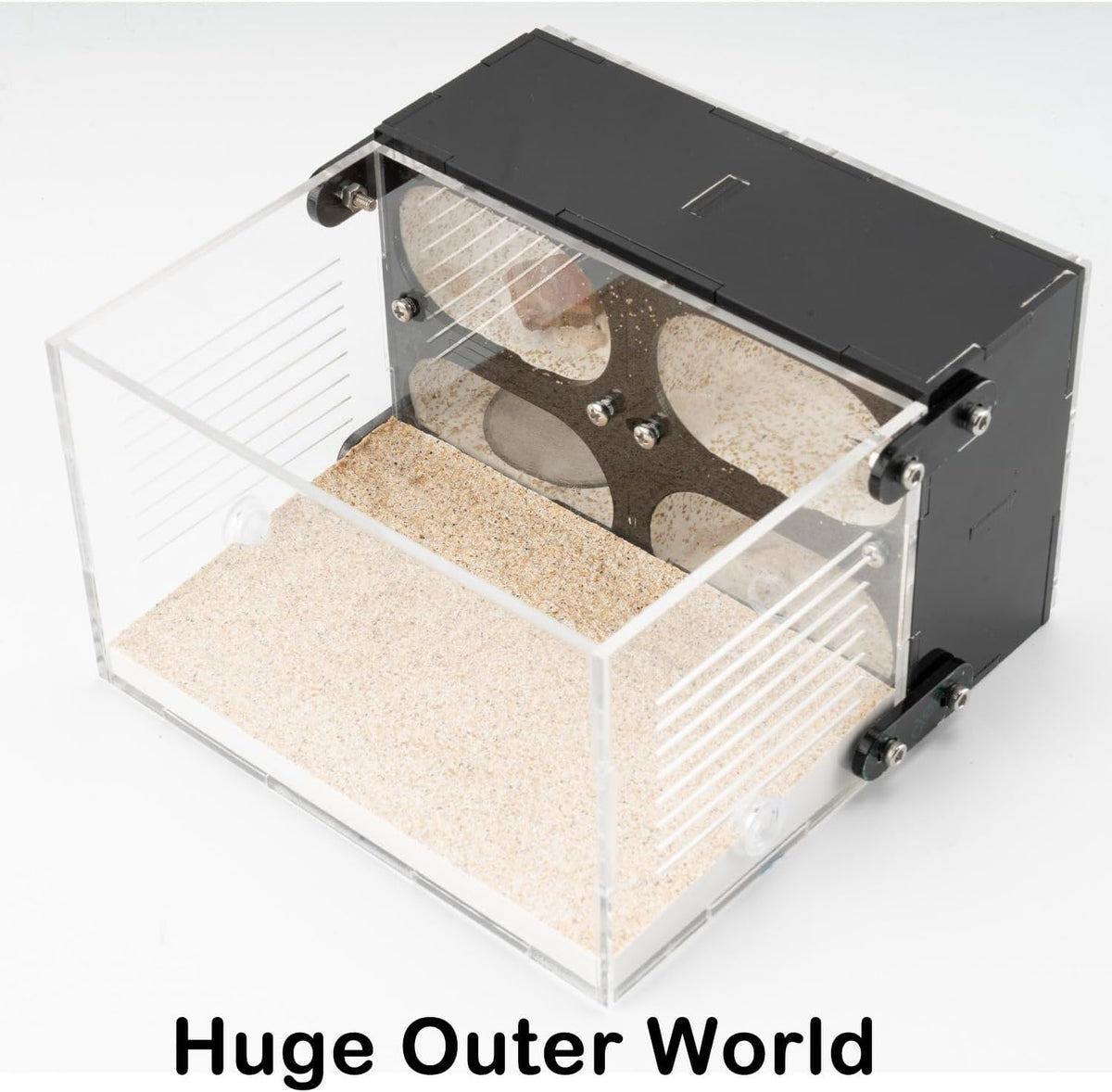 Acrylic Ant Farm Terrarium – Formicarium Ant Nest Habitat System, Observation Chambers for Live Ants & Queen – Educational for Adults