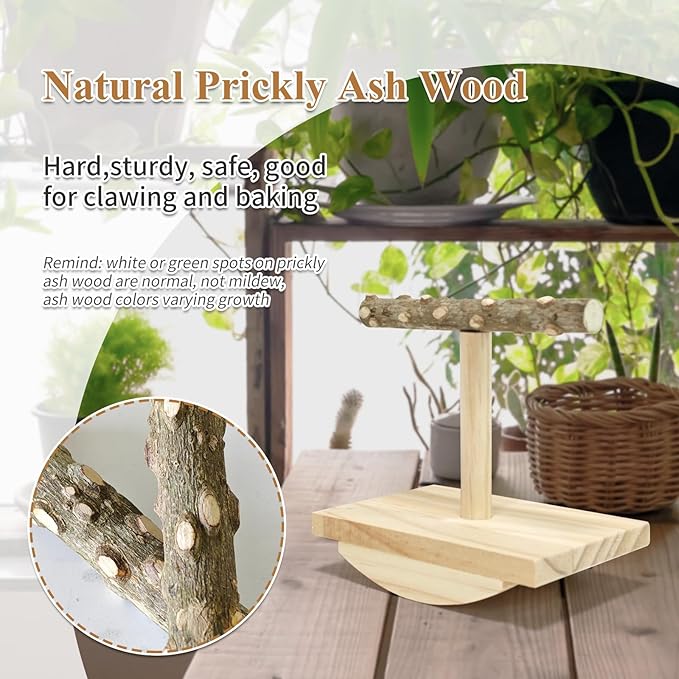 Natural Wood Bird Perch Stand, Rocking Perch - Image 3