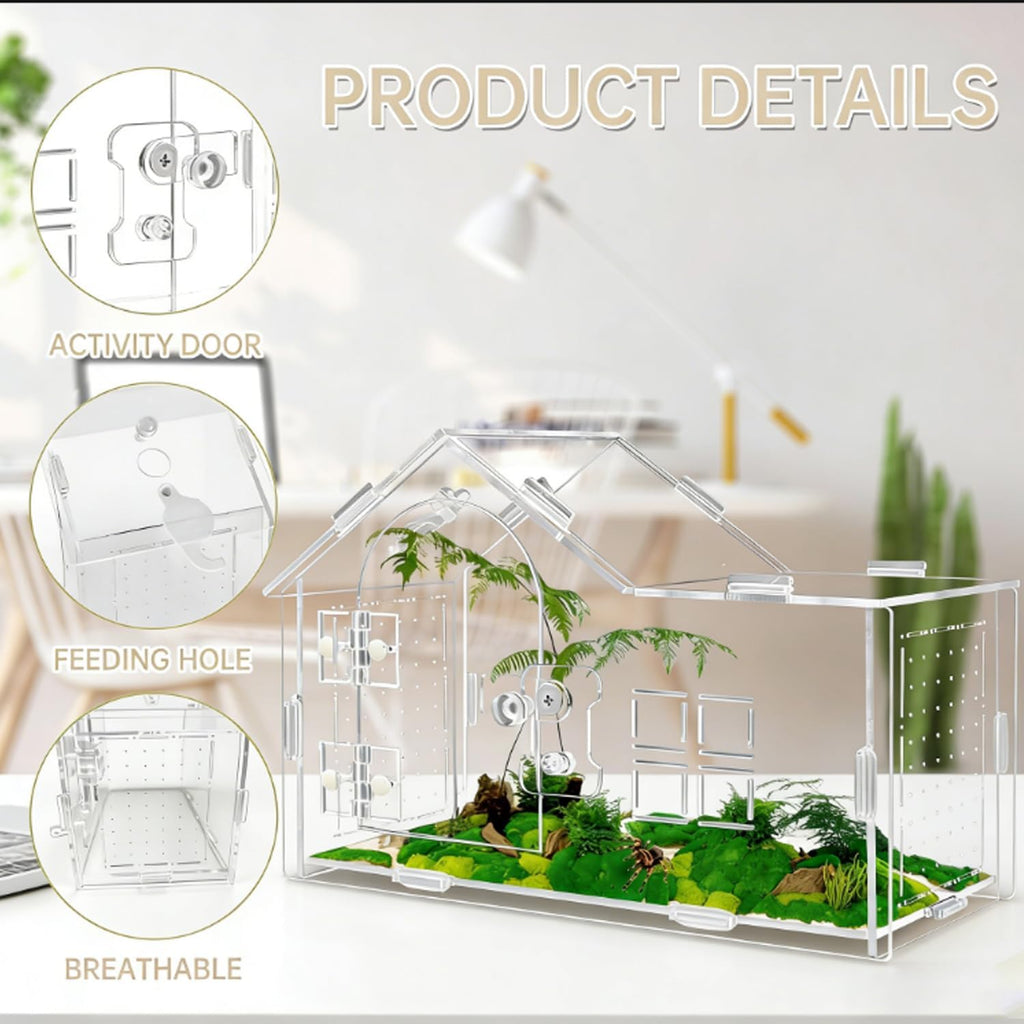 Jumping Spider Enclosure, Acrylic Habitat, 1 Pack