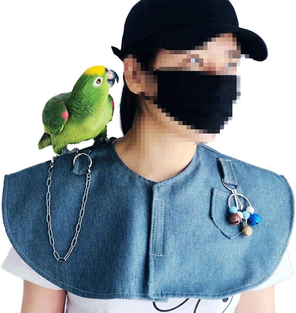QBLEEV Parrot Anti-Scratch Shoulder Protector Hang Bird Anklet&Toys