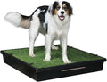 PetSafe Pet Loo Indoor Pet Toilet, Portable Dog Potty Station, Grass Pad Tray by PetSafe