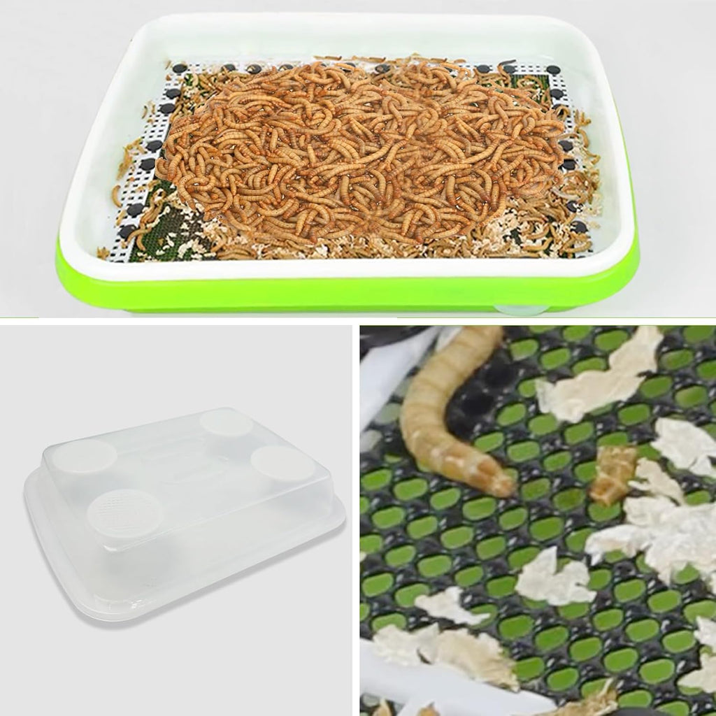 Mealworms Breeding Kit,Mealworms Keeper,Worm Farm with Insect Tweezers,is Used to Raise Your Own Meal Worms,to Breed Live Worms for Bearded Dragons,Leopard Geckos,Lizards,Frogs,Birds and Chickens