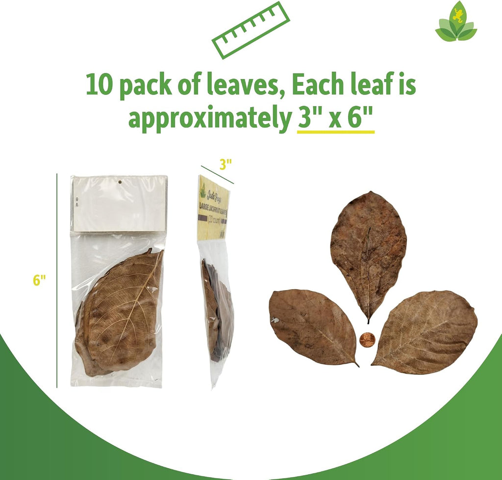 Josh's Frogs Large Jackfruit Leaf Litter, 10 Count
