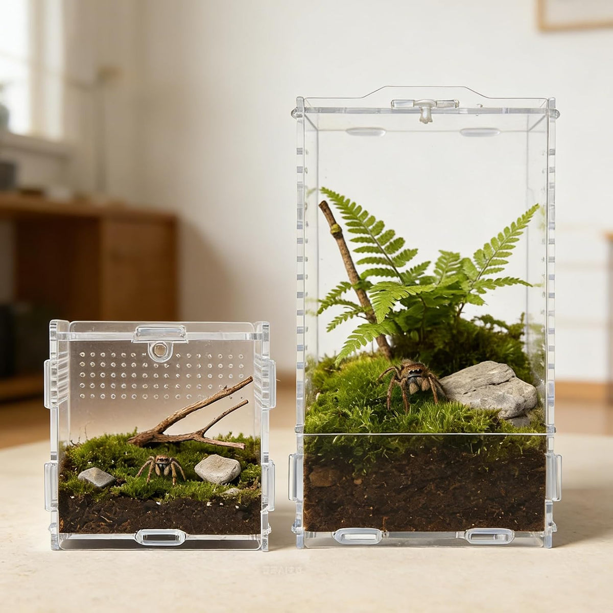 Jumping Spider Small Terrarium 3.5×3.5×9.5 Inch Acrylic Enclosure