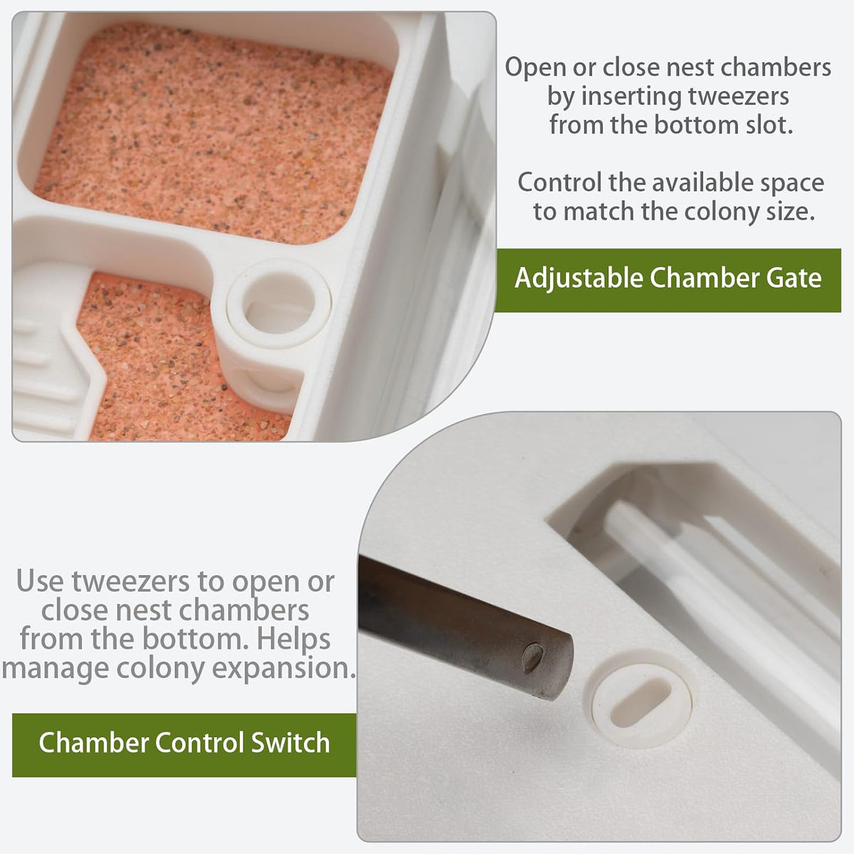 StackCore Stackable Series - White Hybrid (Tube-and-Flat Ant Nest) with Starter Tool Kit