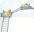 BNOSDM Stainless Steel Grid Platform for Parakeet 4 PCS Bird Perches Platform Parrot Stand with Climbing Ladder Bird Cage Accessories for Small to Large Birds (L)