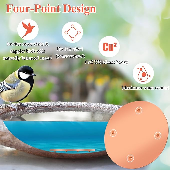 Bird Bath Copper Disk, Premium 99.99% Pure Copper, Less Cleaning Frequency - Image 3