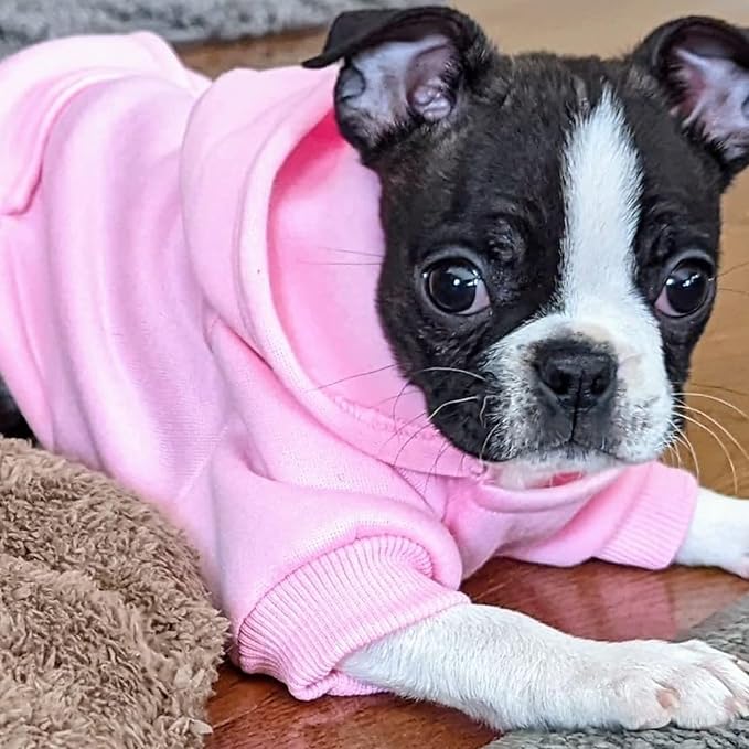 Jecikelon Winter Dog Hoodie Sweatshirts - Image 2