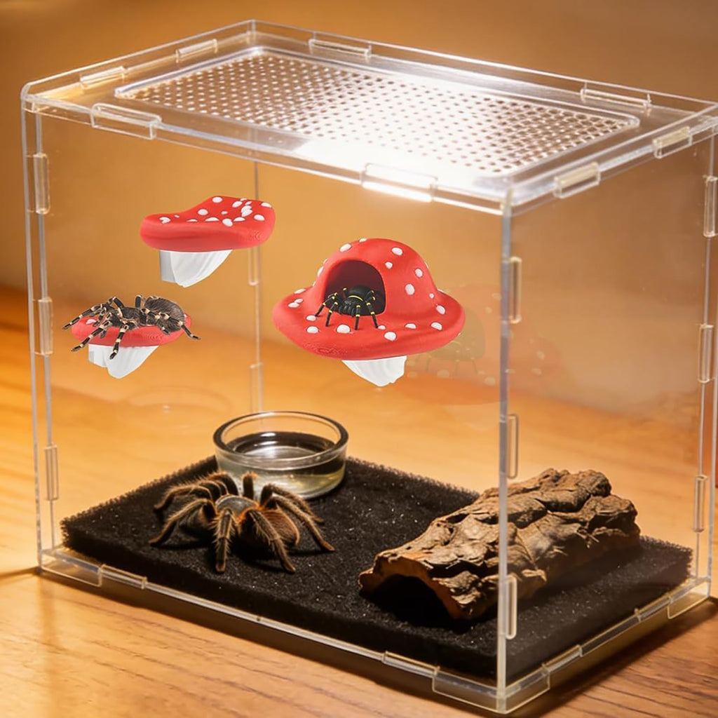 6Pcs Magnetic Mushroom Hideout for Terrarium