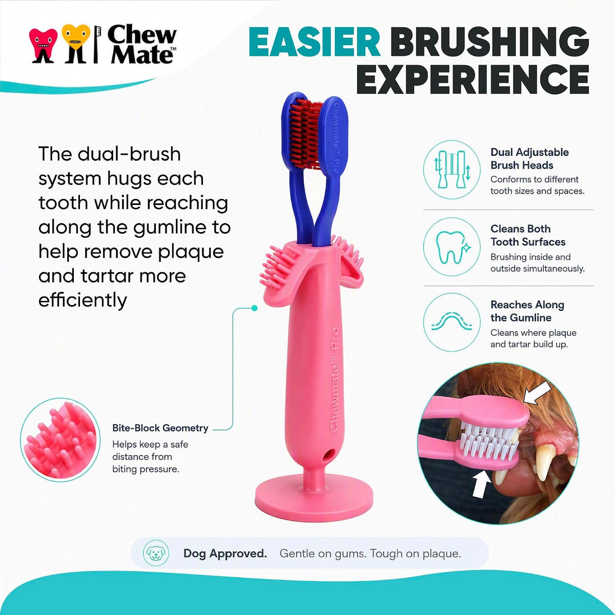 Pro Brush Toothbrush Replacements (2 Pack) - Small Coarse Bristles