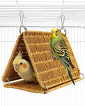 Chewproof Steel Frame Cockatiel Bird Nest by Jevnd