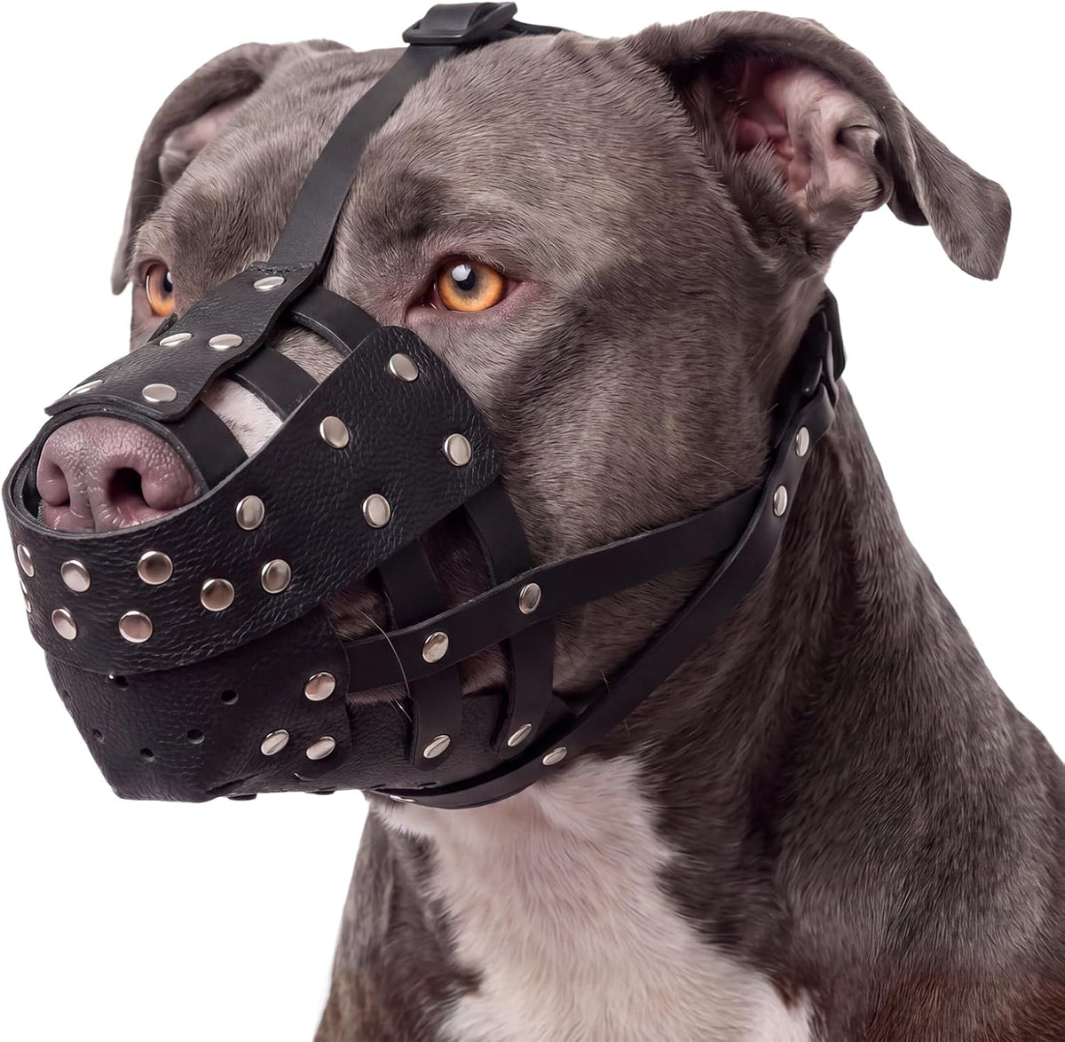 Pezluxe Pitbull Muzzle for Large Medium Dogs, Soft Breathable Dog Muzzle
