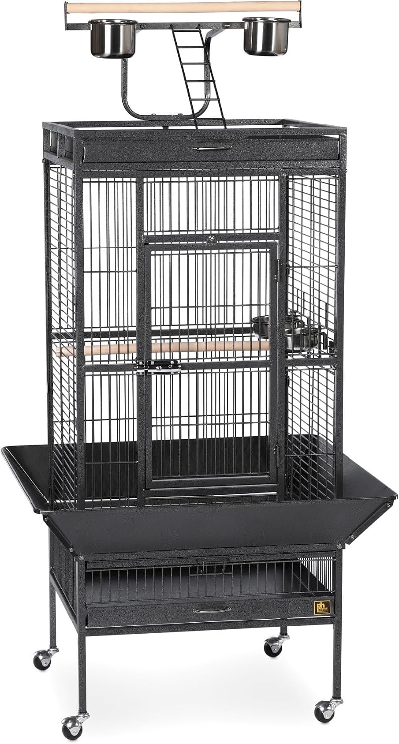 Prevue Pet Products Wrought Iron Select Bird Cage - L, Black Hammertone
