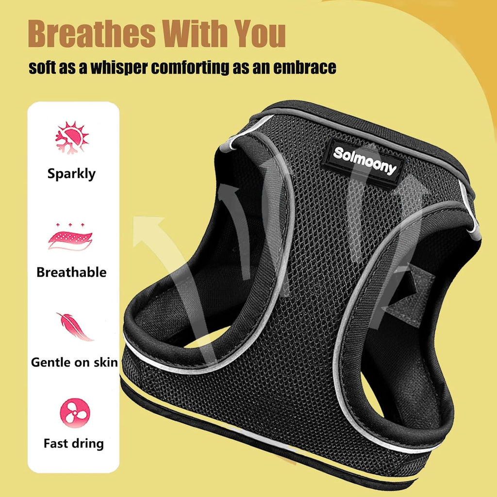 Solmoony Sparkly Small Dog Harness and Leash Set, Step in Soft Light Puppy Vest, Breathable Reflective Pet Harness for Walking, Puppy Harness for Small Dogs Cats (Black, L)