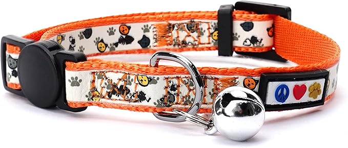 Pawtitas Glow in The Dark Cat Collar by Pawtitas