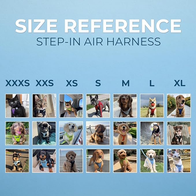 Best Pet Supplies - Image 5