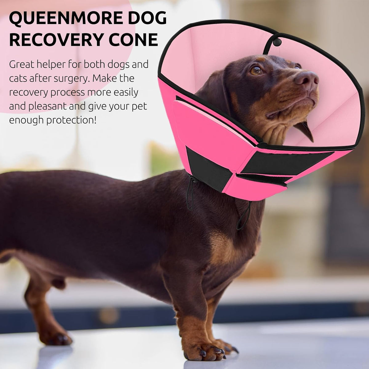 Queenmore Dog Cones for Small Dogs, Soft Cone for Dogs After Surgery