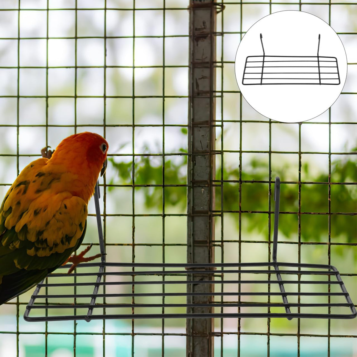balacoo Parrot Birdcage Platform Perch with Hanging Hooks - Iron Grid Wall Shelf for Small Pet Birds Bird Cage Accessory Stand for Climbing Resting and Display 9.84X3.93X2.75In