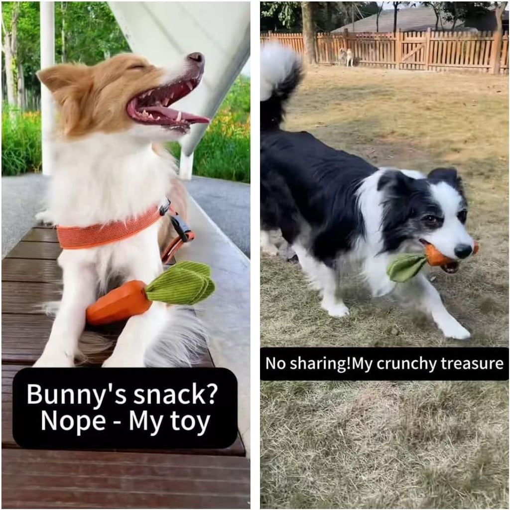 MewaJump Dog Chew Toys for Aggressive Chewers, Natural Rubber Squeaky Dog Toys, Medium Dogs