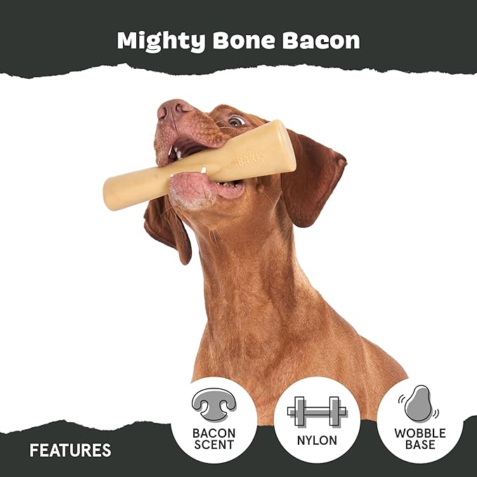 Barkbox Super Chewer Tough Dog Chew Toys - Image 4
