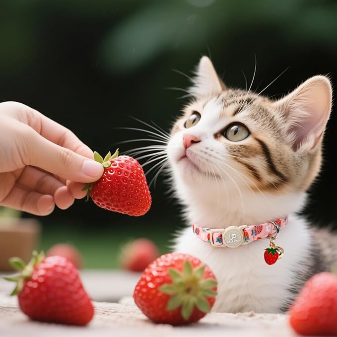 Cat Collar, Cat Collar with Bell, - Image 4