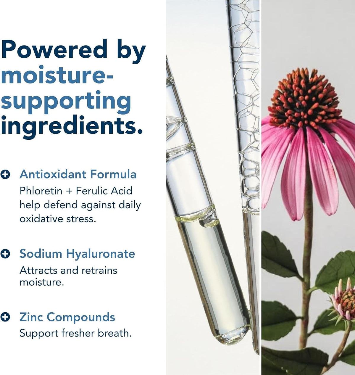 PerioSciences AO ProRinse Hydrating Oral Rinse with Antioxidants – Moisturizing Mouth Rinse for Gum Health & Oral Care – Fluoride-Free Mouthwash for Dry Mouth Sensations (10 Fl Oz / 300ml)