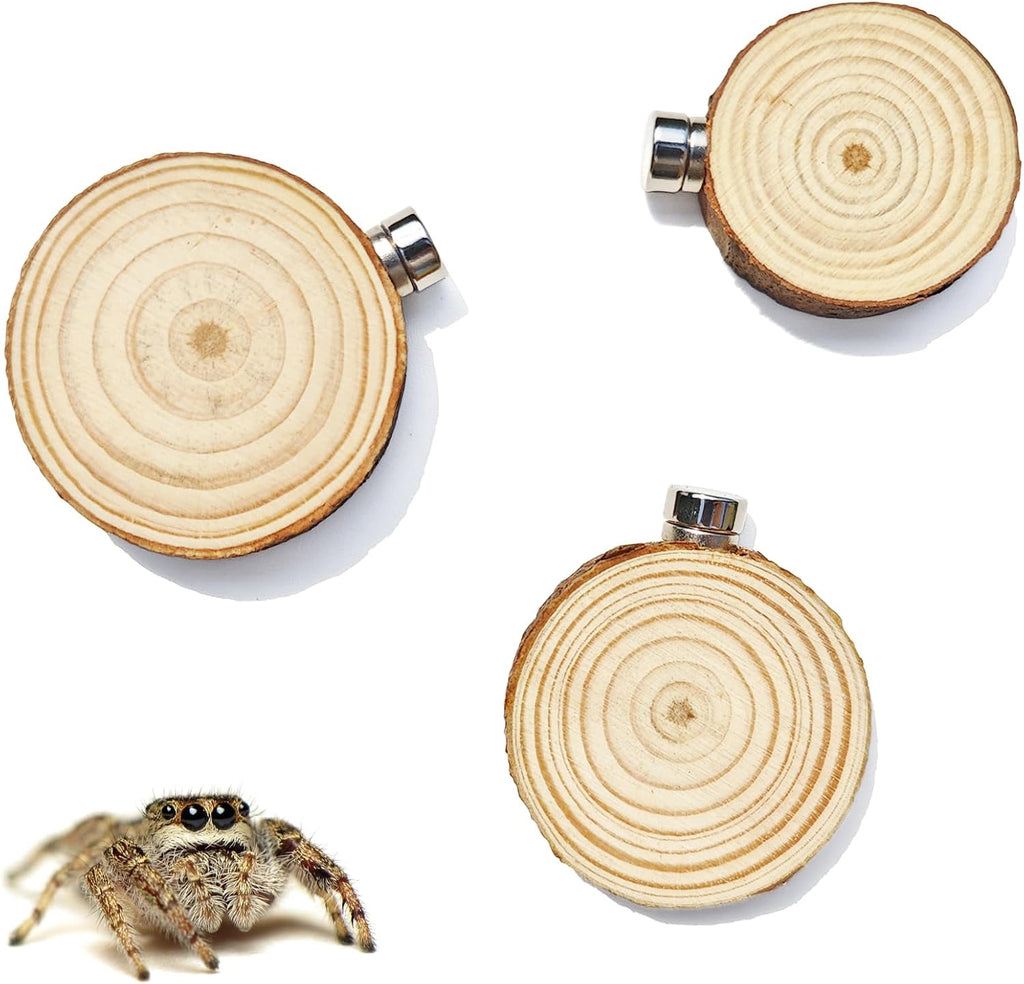 3 Pack Jumping Spider Enclosure Climbing Platforms, Magnetic Jumping Spider Wooden Ledge Ladder, Jumping Spider Accessories, Habitat Decor for Small Light Critters