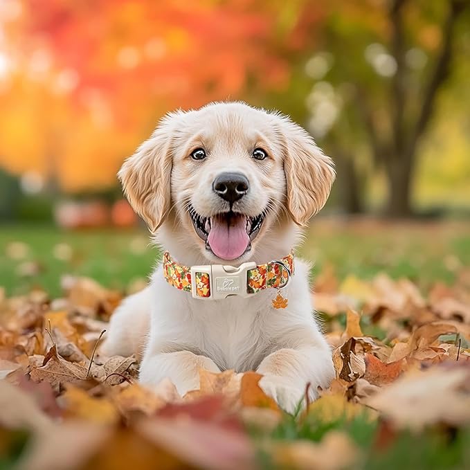 Fall Dog Collar Cute Autumn Leaves Puppy Collar - Image 5