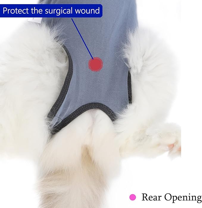 Cat Surgery Recovery Suit Cat Onesie - Image 4