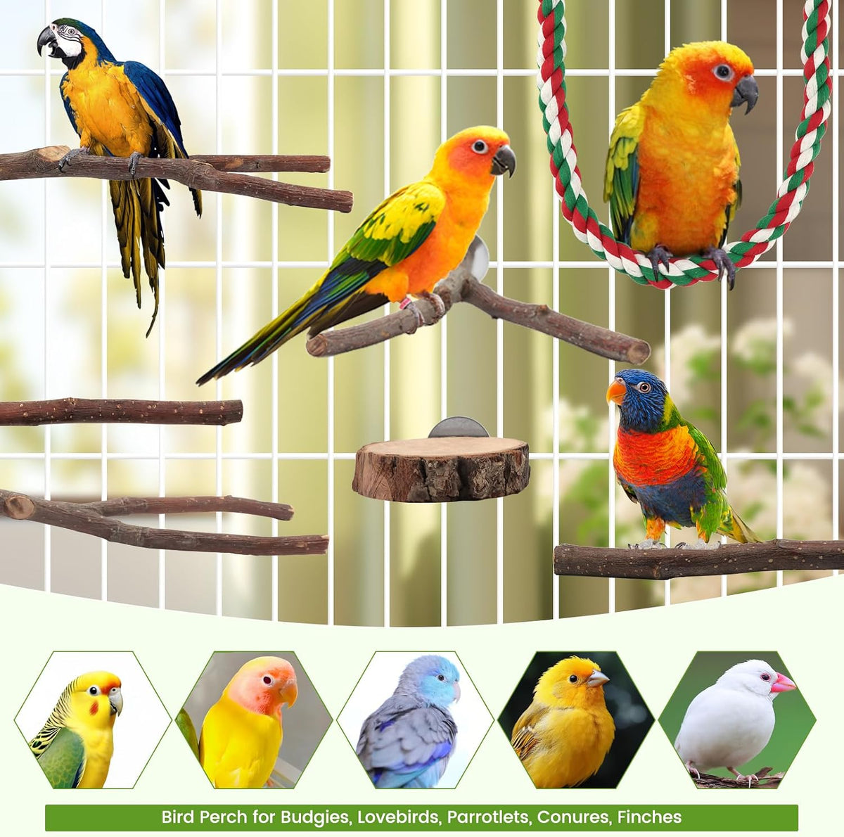 9 Pcs Apple Wood Bird Perch, Platform & Rope Set for Cage