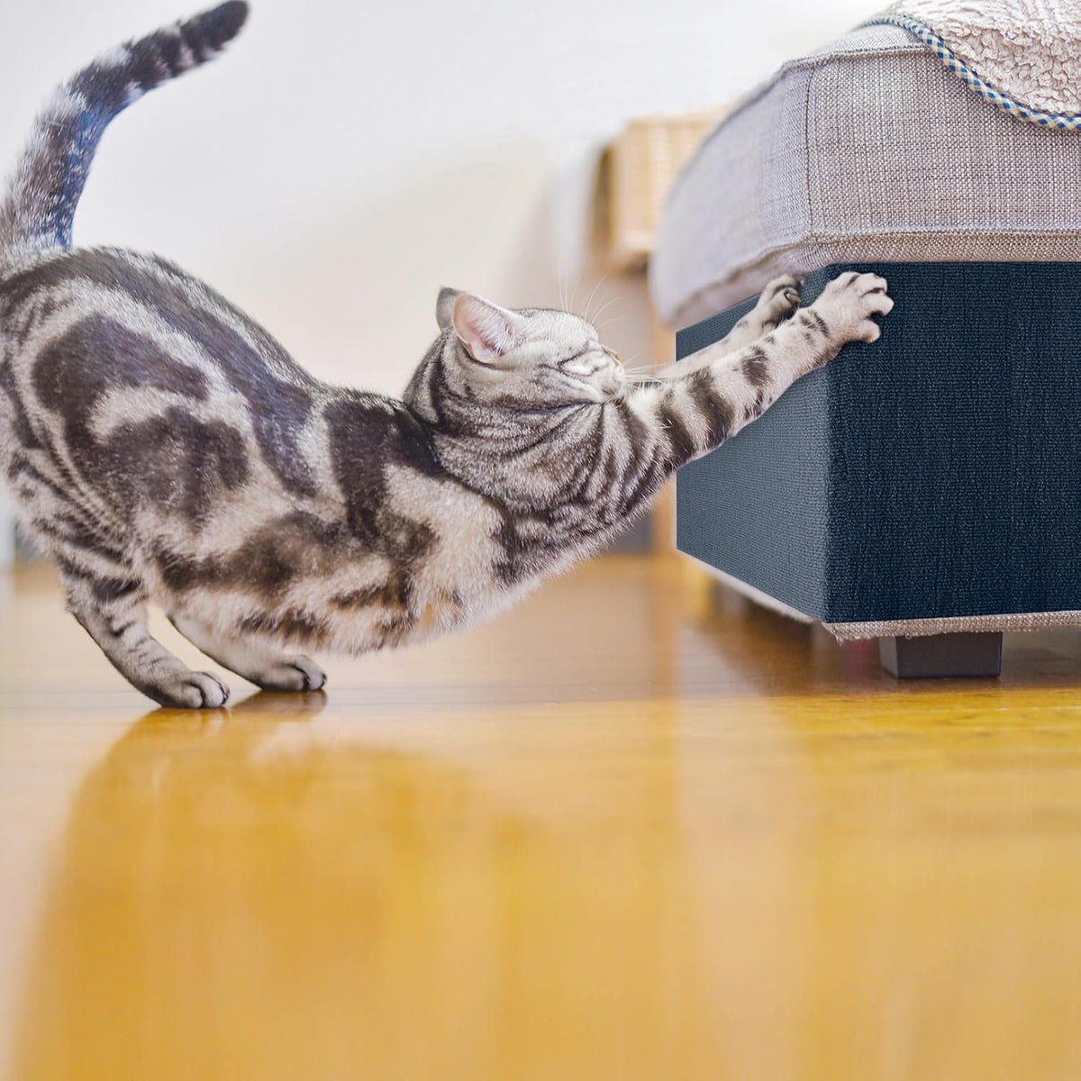 Cat Scratch Furniture Protector Couch Protector from cat Claws Self-Adhesive Carpet remnants Scratching Mat Trimmable DIY Climbing Covering Posts 78.7" x 15.8" Grey