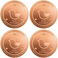 Bird Bath Copper Disk, 4.2" Large Surface Area, Covers 20% More Water Than by FASHTOUR