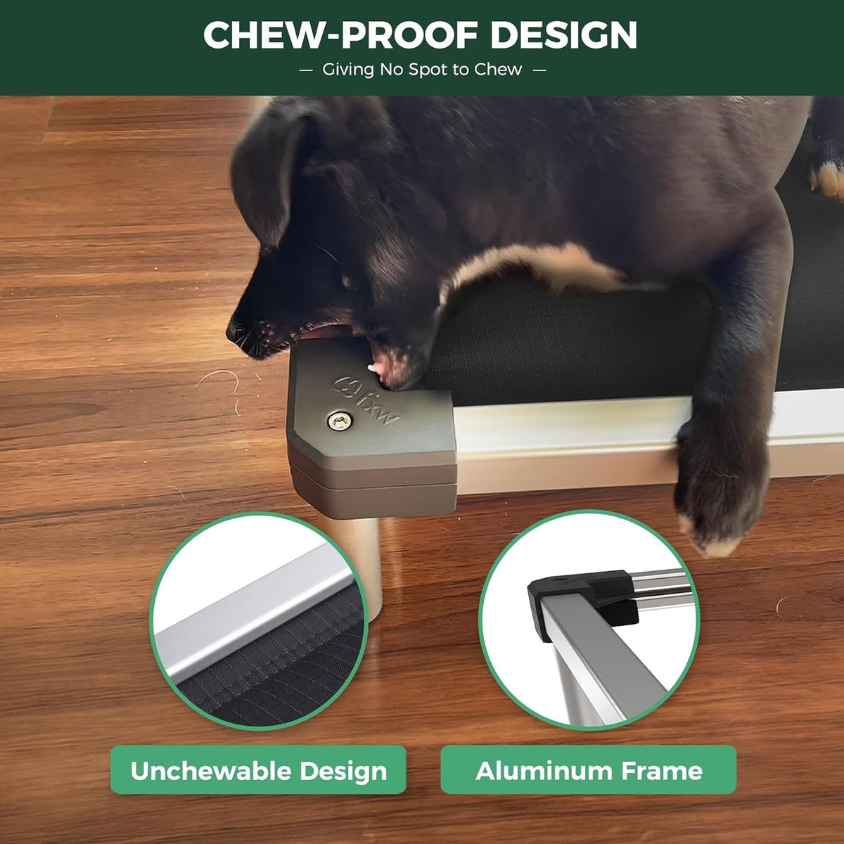 FXW TitanNest Padded Chew-Proof Elevated Dog Bed for Large Dogs