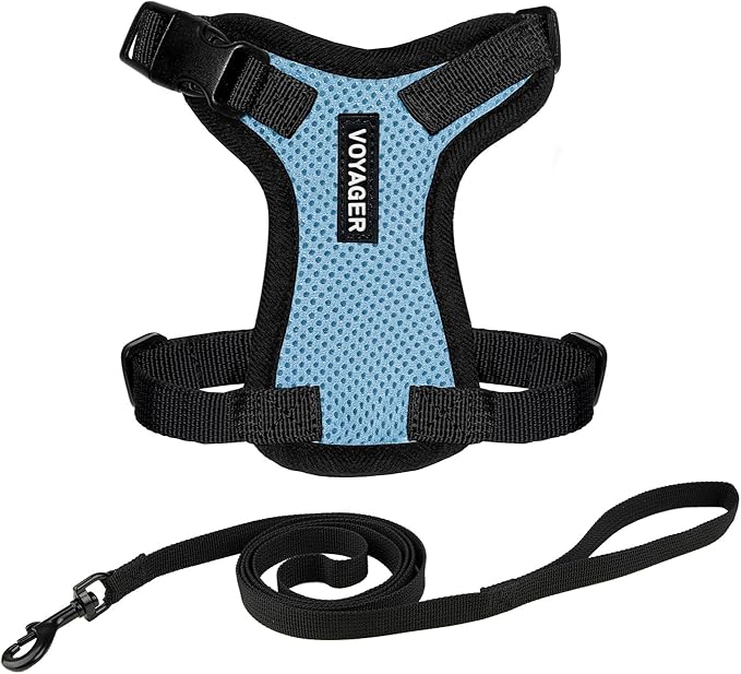 Voyager Escape-Proof Step-in Lock Cat Harness & 5ft Neoprene-Handle Leash Set by BestPetSuppliesLLC