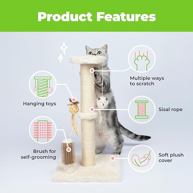 Best Pet Supplies Catify Cat Scratcher, Fun Interactive Scratchers, Claw Safe - Image 4